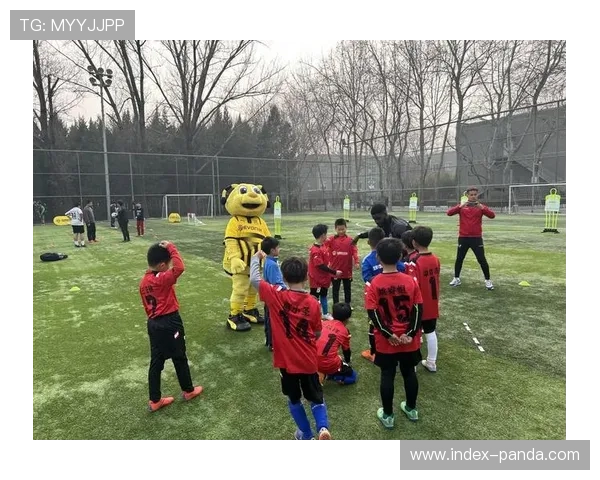 德甲与学校合作推广足球课程