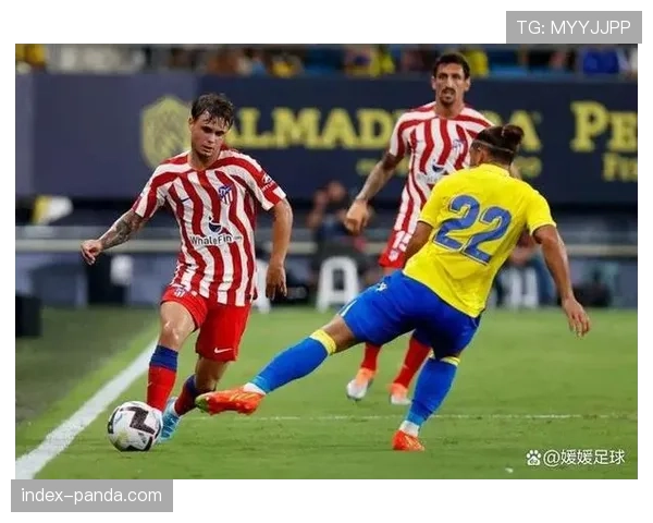 保级六分战:阿尔梅里亚主场迎战加的斯,输球一方将深陷降级区 保级六分战:阿尔梅里亚主场迎战加的斯,输球一方将深陷降级区